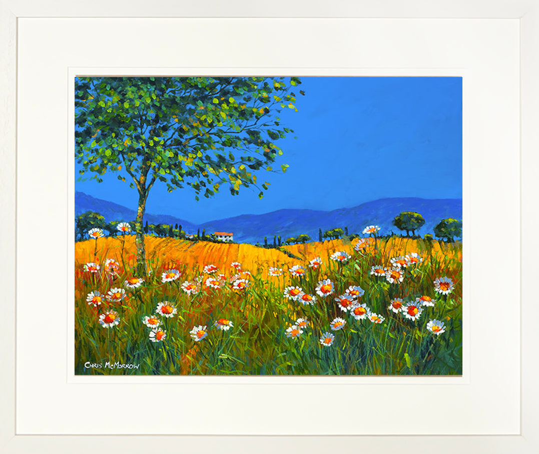 SUMMER DAISIES painting - FRAMED print