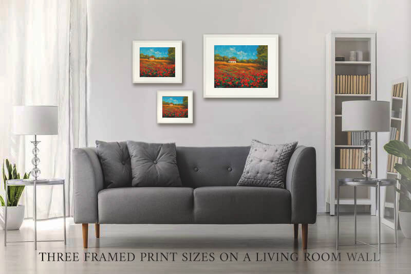 three framed prints on a wall