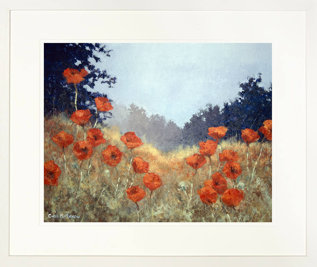 Framed print of poppies growing wild in the meadow