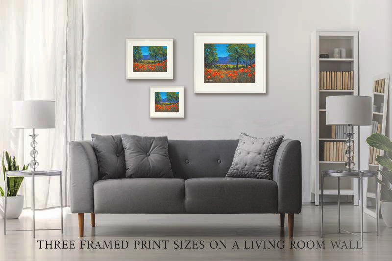Photo of the three sizes of framed prints on a wall