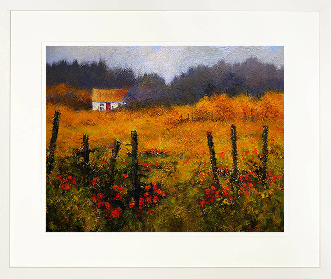 A framed print of a painting of a cottage set in a yellow meadow in Connemara, Ireland