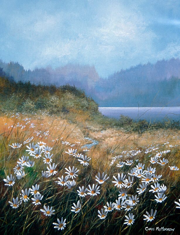 Painting of daisies in a bog in Connemara
