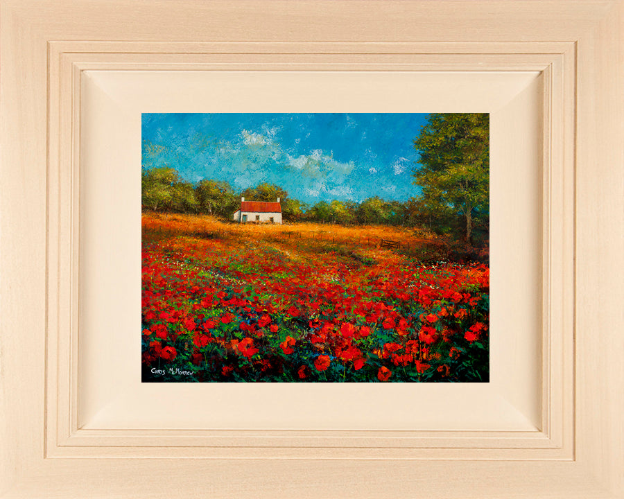 Acrylic painting on 31 x 24 inch canvas of an Irish cottage in a poppyfield in the West of Ireland
