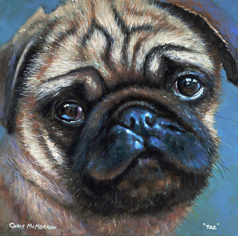 Painting of Pug dog named Taz